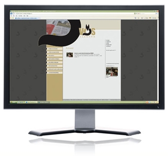 Websites