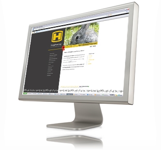 Websites